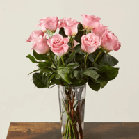 جوري وردي , 10 أغصان