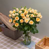 بيبي روز سكري 10 أغصان طبيعي