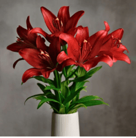 لليوم أحمر 10 أغصان