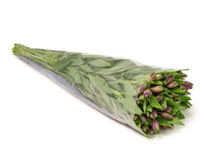 الستمريا موف ,10 أغصان