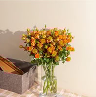 بيبي روز برتقالي 10 أغصان طبيعي