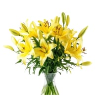 لليوم أصفر 10 أغصان