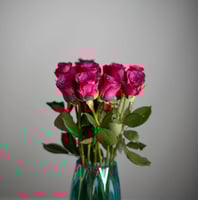 جوري موف غامق , 10 أغصان