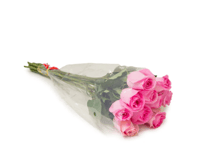 جوري وردي , 10 أغصان