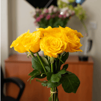 جوري أصفر , 10 أغصان