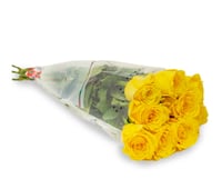 جوري أصفر , 10 أغصان