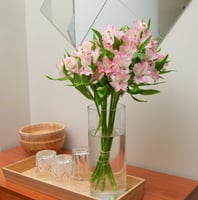 الستمريا وردي ,10 أغصان