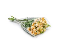 بيبي روز سكري 10 أغصان طبيعي