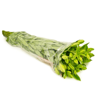 لليوم برتقالي 10 أغصان