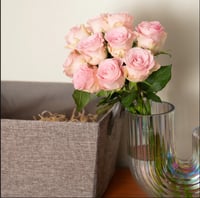 جوري وردي فاتح , 10 أغصان