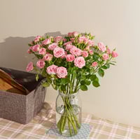 بيبي روز وردي 10 أغصان طبيعي