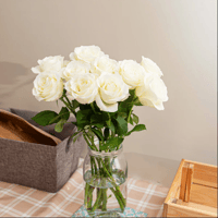 جوري أبيض , 10 أغصان