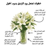 لليوم أحمر 10 أغصان