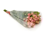 بيبي روز وردي 10 أغصان طبيعي