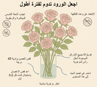 جوري أحمر , 10 أغصان