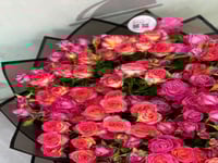 باقة همسة ناعمة