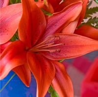 لليوم أحمر 10 أغصان