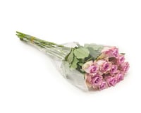 جوري موف فاتح , 10 أغصان