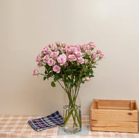 بيبي روز موف 10 أغصان طبيعي