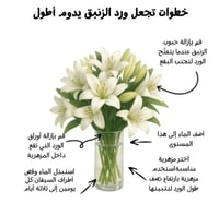 لليوم أبيض 10 أغصان