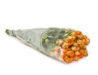 بيبي روز برتقالي 10 أغصان طبيعي