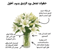 لليوم برتقالي 10 أغصان