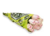 جوري وردي فاتح , 10 أغصان