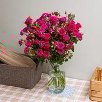 بيبي روز فوشي 10 أغصان طبيعي