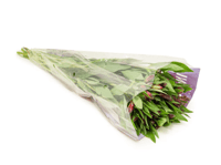 الستمريا أحمر ,10 أغصان