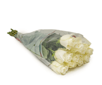 جوري أبيض , 10 أغصان