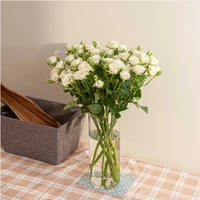 بيبي روز أبيض 10 أغصان طبيعي