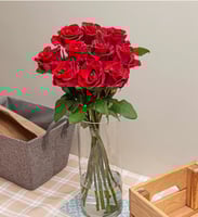 جوري أحمر , 10 أغصان