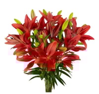 لليوم أحمر 10 أغصان