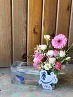 فازة دانه (سمك الفايتر) (امكانية تغيير الاسم)