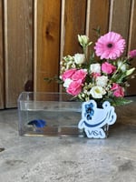 فازة دانه (سمك الفايتر) (امكانية تغيير الاسم)