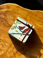 شوكلت انوش ( ٤ قطع)