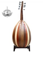 عود بحريني فرسه ثابته