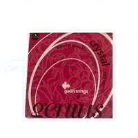 اوتار جالي كلاسيك سيلفر للجيتار