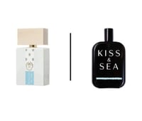 تقسيم فانيلا فورتيكس صمام