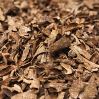 لاوسي الشايب