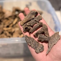 زوايا فيتنامي فاخر