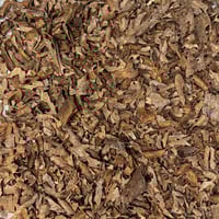 لاوسي الشايب