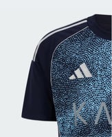 قميص النصر الاحتياطي 25/26