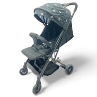 عربية للسفر والطائرة