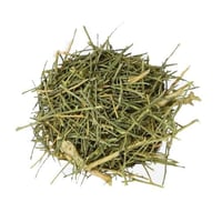 عشبة المدينة 1 كيلو