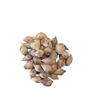 ثوم ذكر 1 كيلو