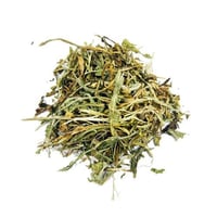 هندباء 1 كيلو