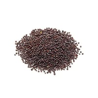 خردل اسود 1 كيلو