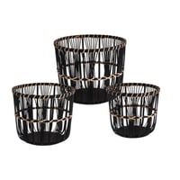 طقم اصيق نباتات 3 قطع