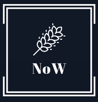 New store